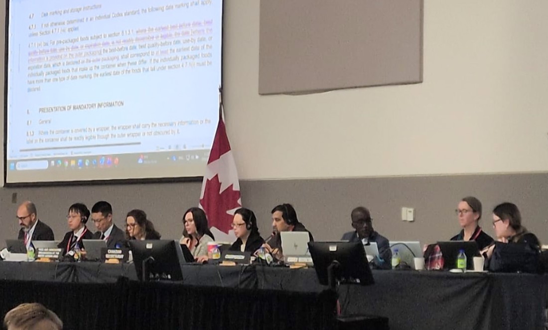 CodexOttawa