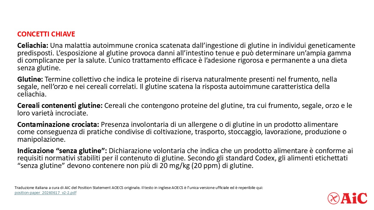 Diapositiva6