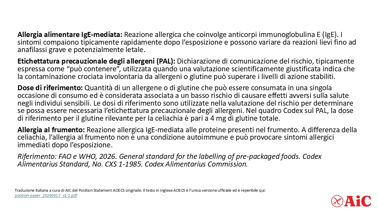 Diapositiva7